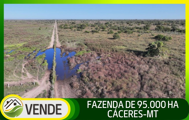FAZENDA PORTEIRA FECHADA DE 95.000 HA