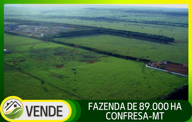 FAZENDA PORTEIRA FECHADA DE 89.000 HA