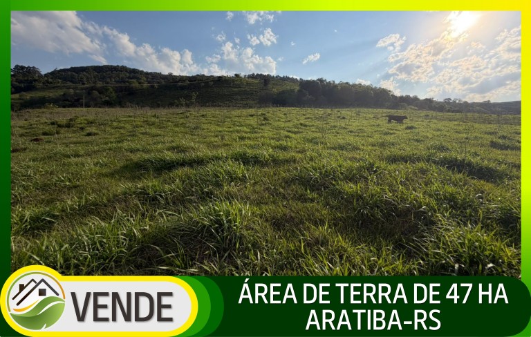 ÁREA DE TERRA DE 47 HA NO RS
