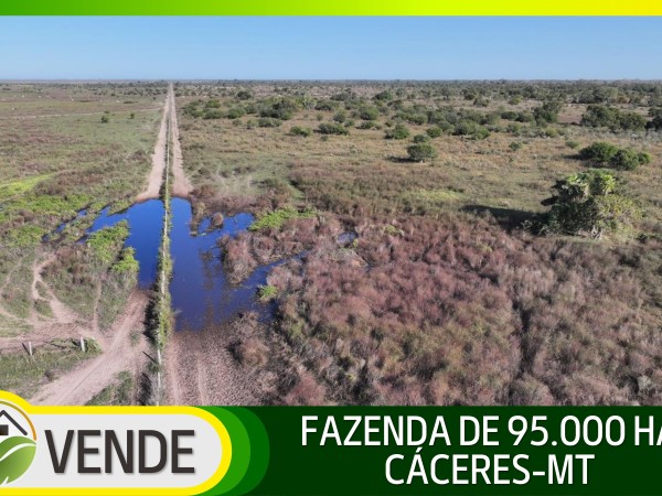 FAZENDA PORTEIRA FECHADA DE 95.000 HA