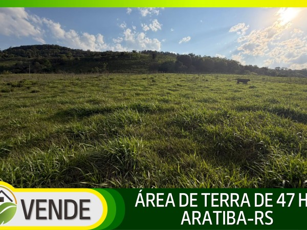 ÁREA DE TERRA DE 47 HA NO RS
