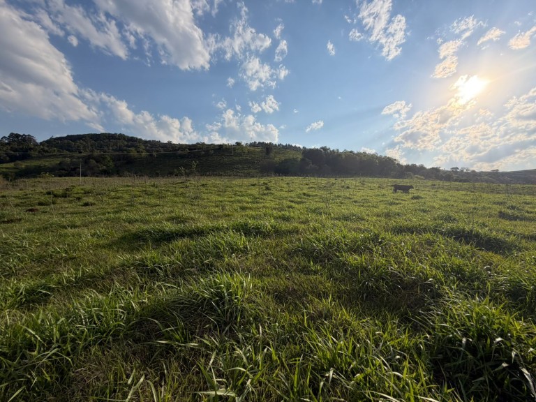 ÁREA DE TERRA DE 47 HA NO RS