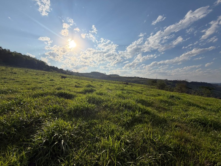 ÁREA DE TERRA DE 47 HA NO RS