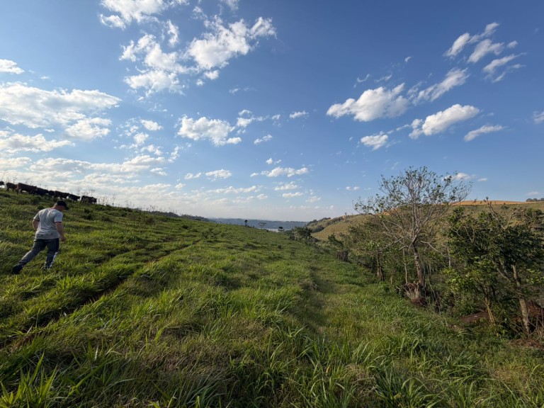 ÁREA DE TERRA DE 47 HA NO RS