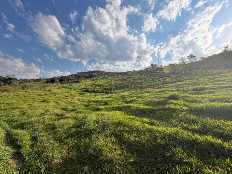 ÁREA DE TERRA DE 47 HA NO RS