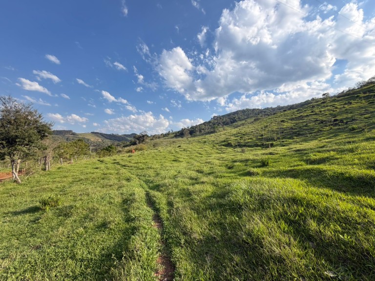 ÁREA DE TERRA DE 47 HA NO RS