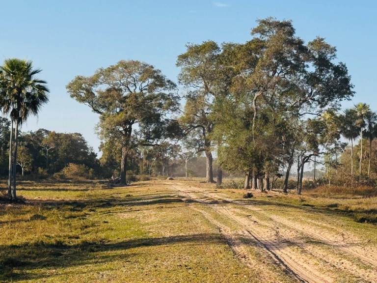 FAZENDA PORTEIRA FECHADA DE 95.000 HA