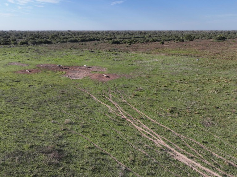 FAZENDA PORTEIRA FECHADA DE 95.000 HA