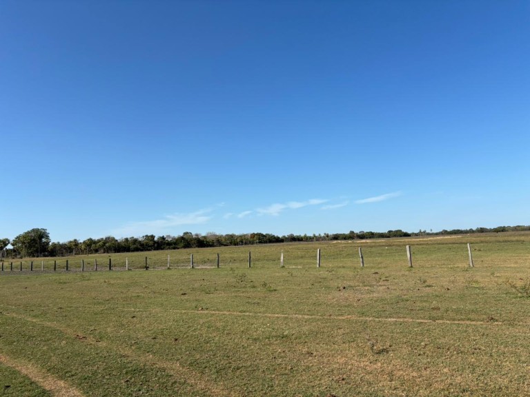 FAZENDA PORTEIRA FECHADA DE 95.000 HA