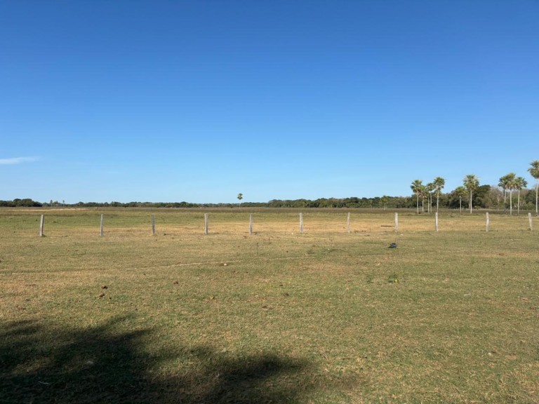FAZENDA PORTEIRA FECHADA DE 95.000 HA