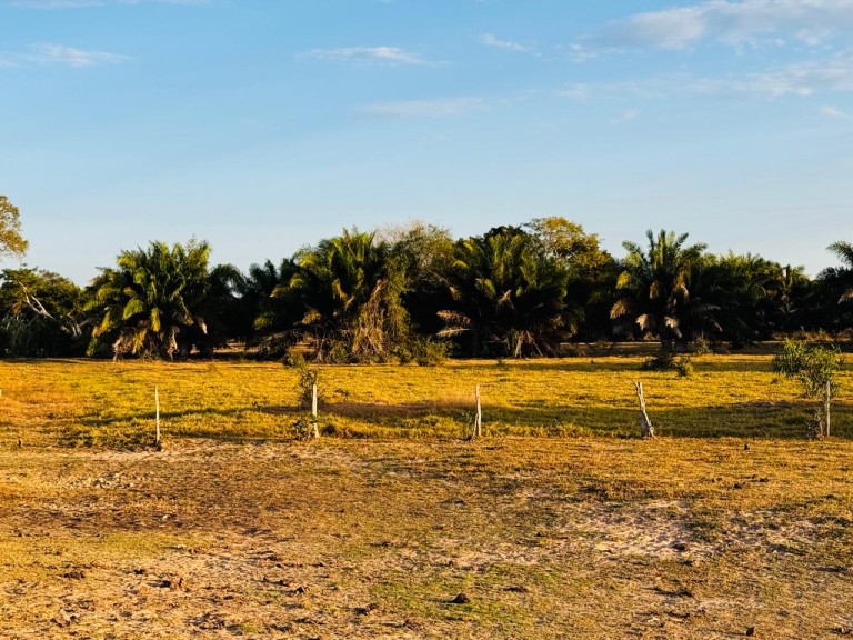 FAZENDA PORTEIRA FECHADA DE 95.000 HA