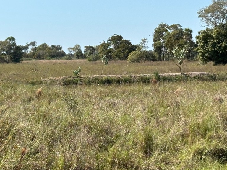 FAZENDA PORTEIRA FECHADA DE 95.000 HA