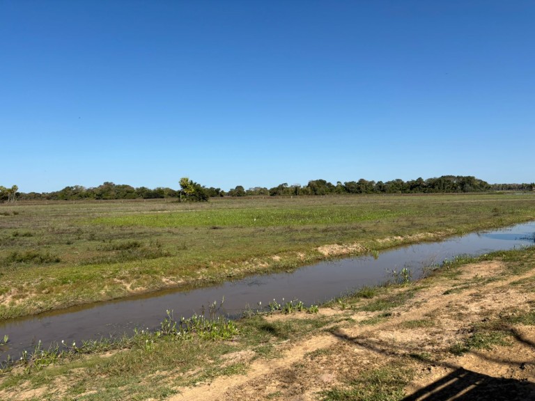 FAZENDA PORTEIRA FECHADA DE 95.000 HA
