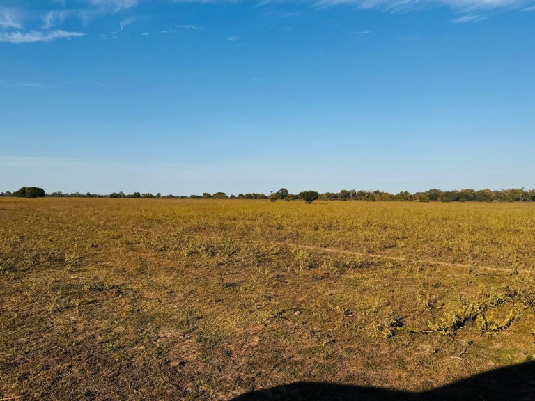 FAZENDA PORTEIRA FECHADA DE 95.000 HA