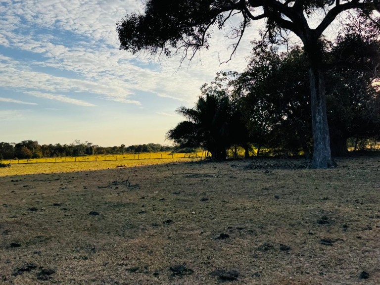 FAZENDA PORTEIRA FECHADA DE 95.000 HA
