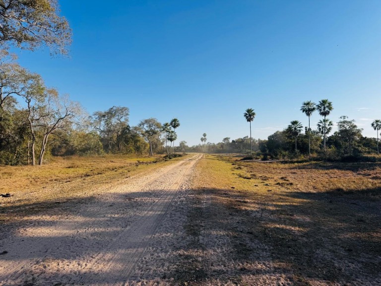 FAZENDA PORTEIRA FECHADA DE 95.000 HA