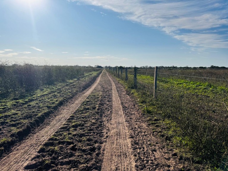 FAZENDA PORTEIRA FECHADA DE 95.000 HA