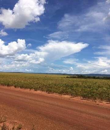 FAZENDA PORTEIRA FECHADA DE 89.000 HA