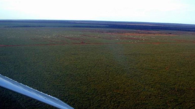 FAZENDA PORTEIRA FECHADA DE 89.000 HA