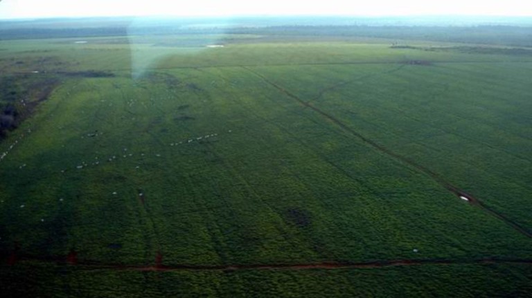 FAZENDA PORTEIRA FECHADA DE 89.000 HA