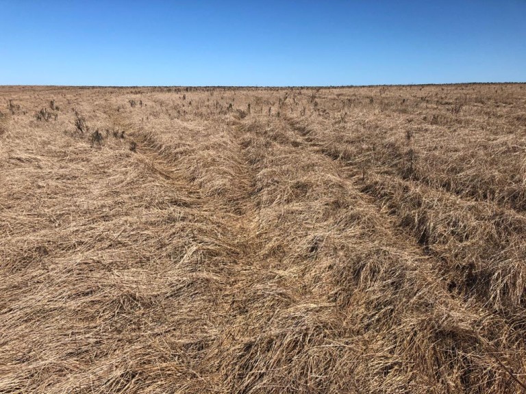310 HA NO RS COM ATÉ 7 ANOS PARA PAGAR