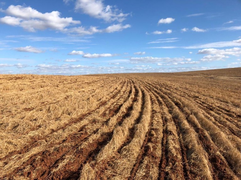 310 HA NO RS COM ATÉ 7 ANOS PARA PAGAR