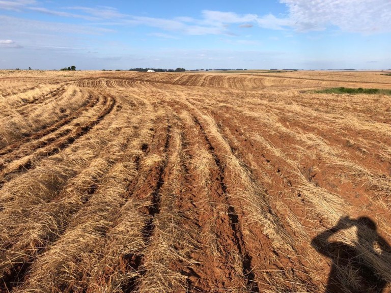 310 HA NO RS COM ATÉ 7 ANOS PARA PAGAR
