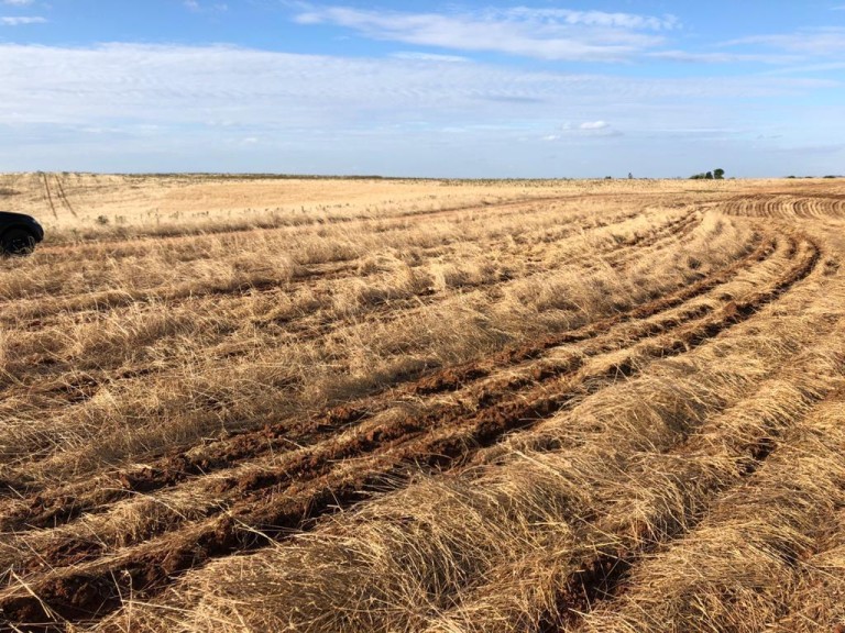 310 HA NO RS COM ATÉ 7 ANOS PARA PAGAR
