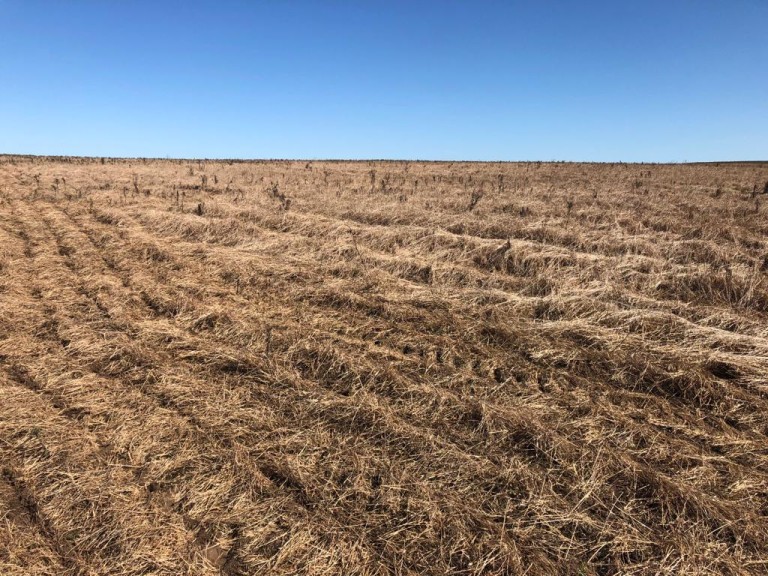 310 HA NO RS COM ATÉ 7 ANOS PARA PAGAR