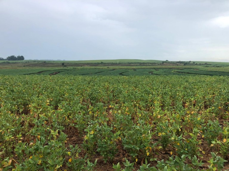 310 HA NO RS COM ATÉ 7 ANOS PARA PAGAR