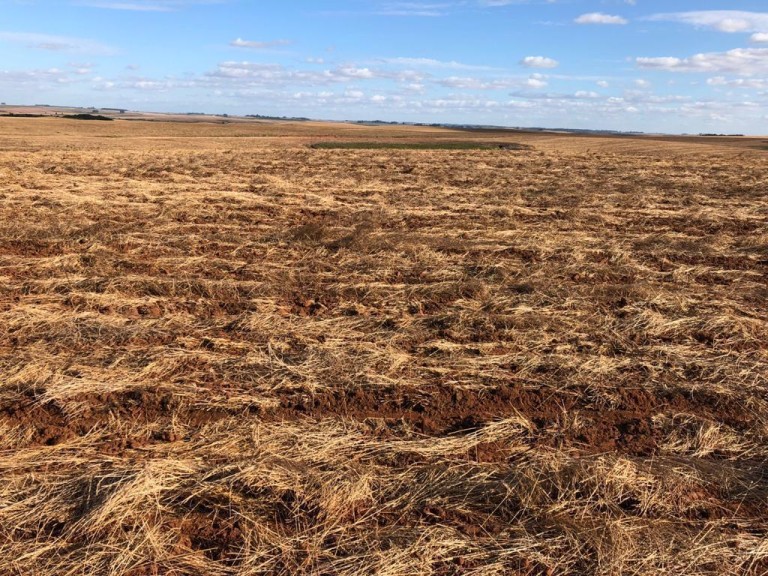 310 HA NO RS COM ATÉ 7 ANOS PARA PAGAR