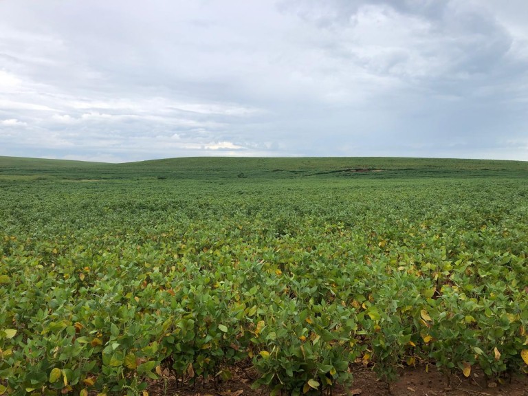 310 HA NO RS COM ATÉ 7 ANOS PARA PAGAR