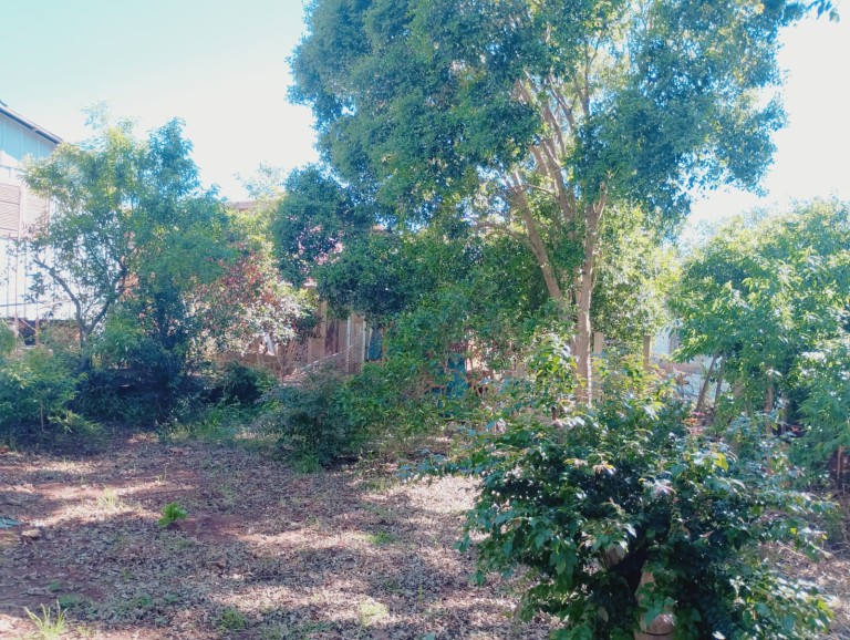 DUAS CASAS À VENDA EM PALMEIRA DAS MISSÕES-RS