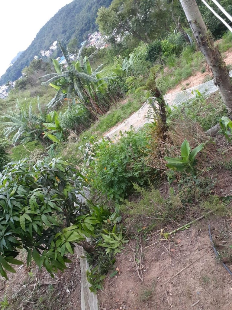 ÁREA DE 4.6 HA EM ITAPEMA-SC