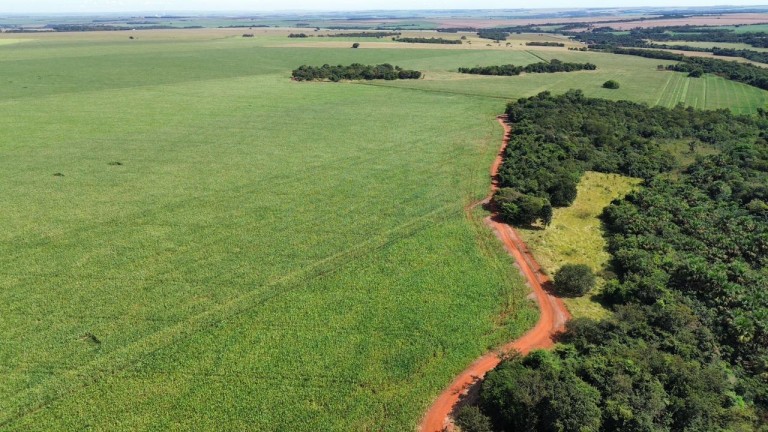 FAZENDA DE 100 ALQUEIRES EM GOIÁS
