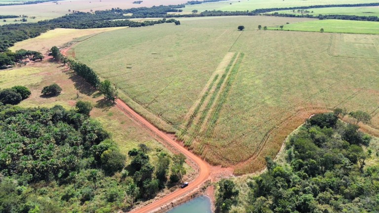 FAZENDA DE 100 ALQUEIRES EM GOIÁS