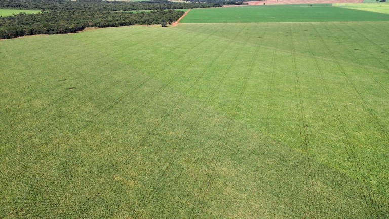 FAZENDA DE 100 ALQUEIRES EM GOIÁS