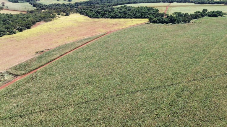 FAZENDA DE 100 ALQUEIRES EM GOIÁS