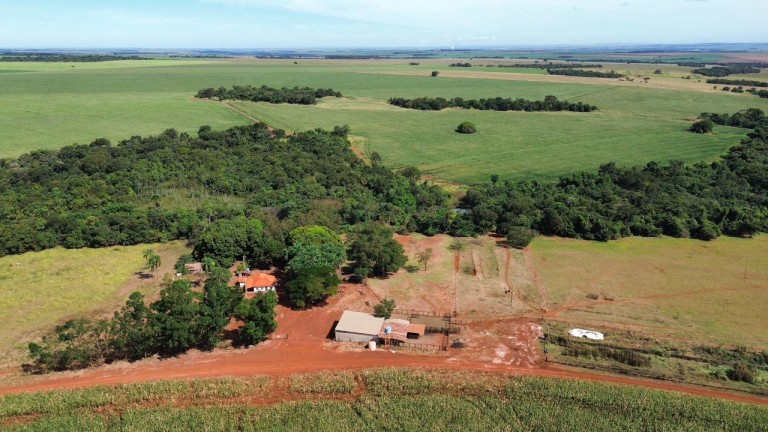 FAZENDA DE 100 ALQUEIRES EM GOIÁS