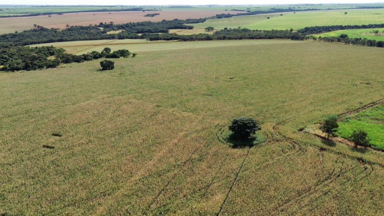 FAZENDA DE 100 ALQUEIRES EM GOIÁS