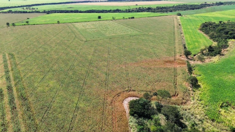 FAZENDA DE 100 ALQUEIRES EM GOIÁS