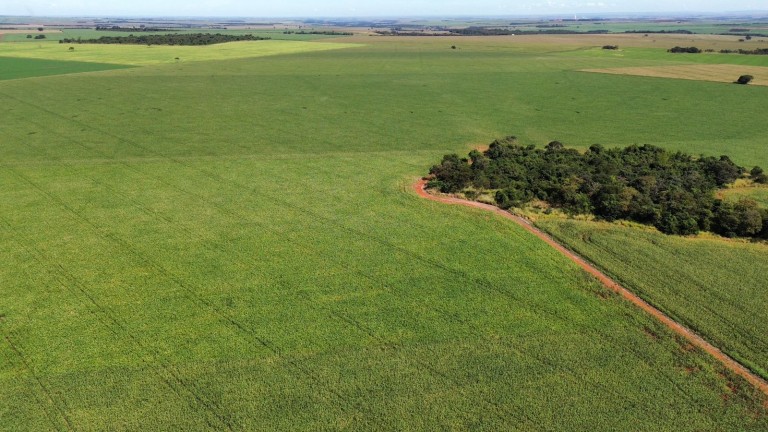 FAZENDA DE 100 ALQUEIRES EM GOIÁS