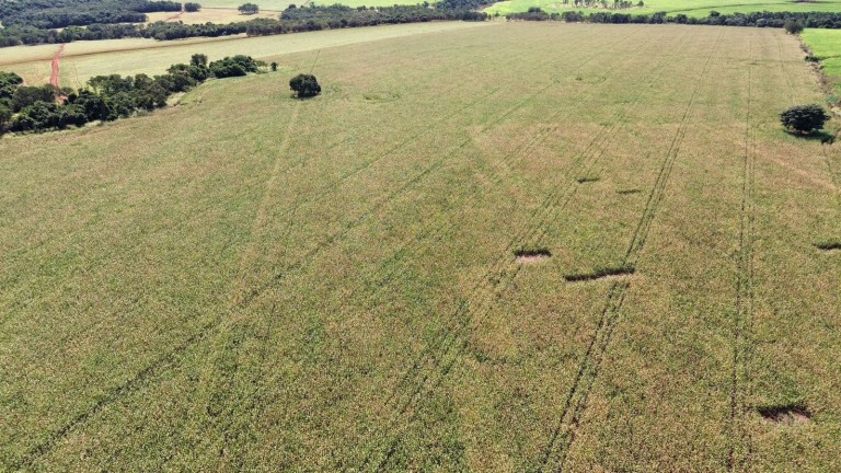 FAZENDA DE 100 ALQUEIRES EM GOIÁS