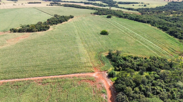 FAZENDA DE 100 ALQUEIRES EM GOIÁS