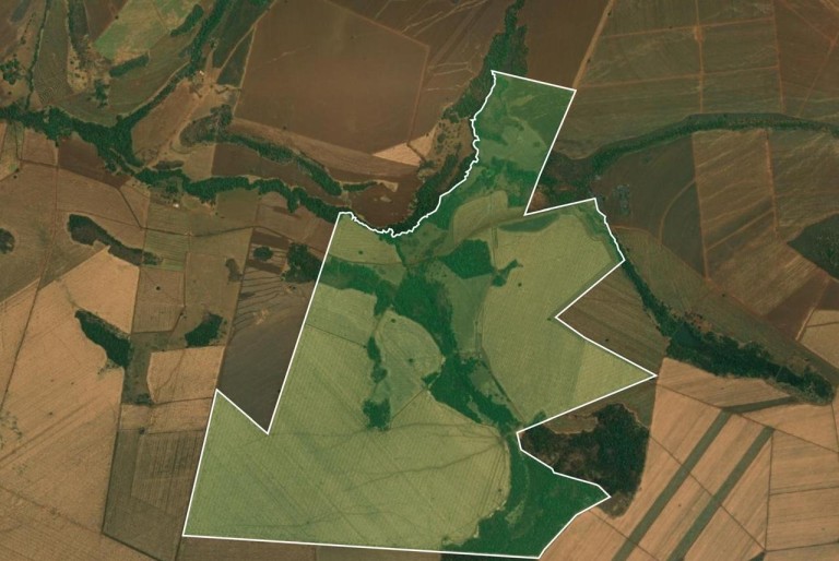 FAZENDA DE 100 ALQUEIRES EM GOIÁS
