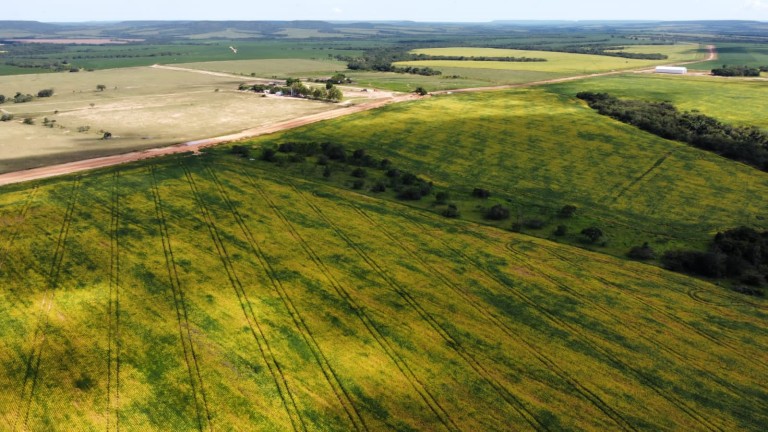 FAZENDA DE 5.400 HA NO MATO GROSSO