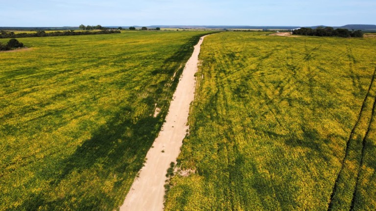 FAZENDA DE 5.400 HA NO MATO GROSSO