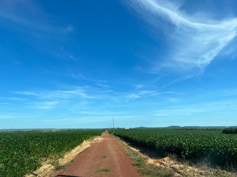 FAZENDA DE 5.400 HA NO MATO GROSSO