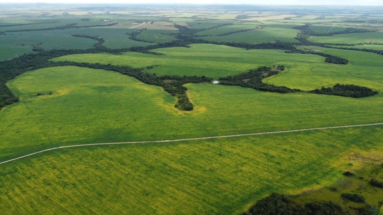FAZENDA DE 5.400 HA NO MATO GROSSO