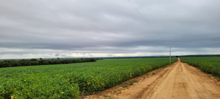 FAZENDA DE 5.400 HA NO MATO GROSSO